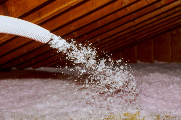 Types of Insulation We Offer in Broad Creek, NC