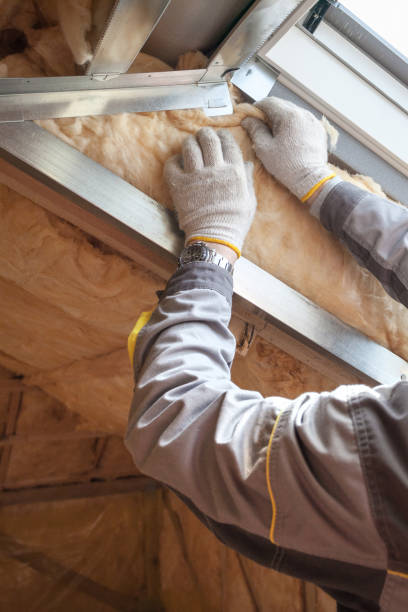 Best Geographic-Specific Insulation Services in Broad Creek, NC